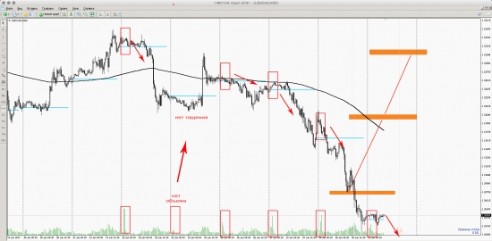 USDCAD Большой Азиатский Интерес