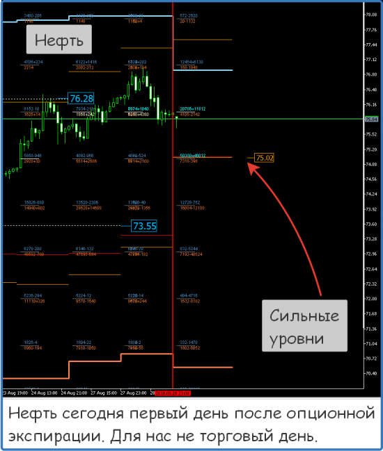 Форекс ФОРТС Нефть металлы обзор 29 августа Мастерская трейдера ФОБ 2.0