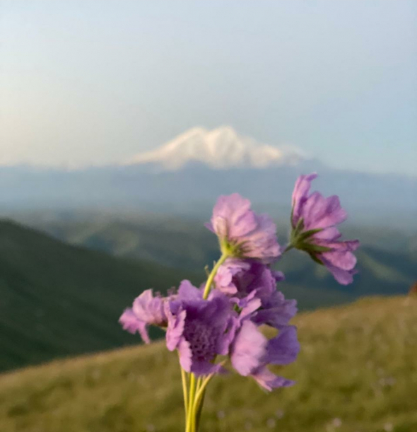 Азия. Понедельник.