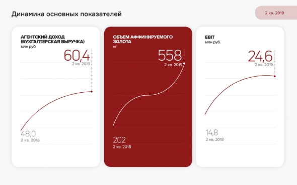 Финансовый анализ «ПЮДМ» за 6 мес. 2019 г.