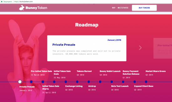 Казнь порно-ICO: BunnyToken