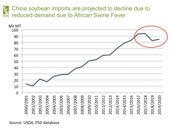 Соевые бобы: Непростой выбор Китая между США и Бразилией