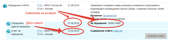 Как я возвращаю 52 000 по ИИС из налоговой в 2018 году за 2017 год! Часть 2 - Чудеса в налоговой!