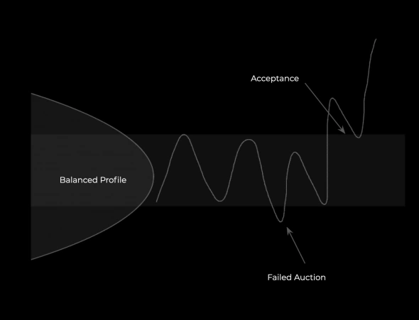 Теория Аукциона / Trading Riot / Market Profile & Volume Profile