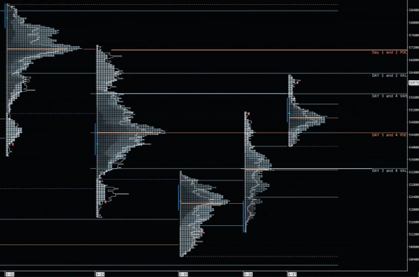 Теория Аукциона / Trading Riot / Market Profile & Volume Profile