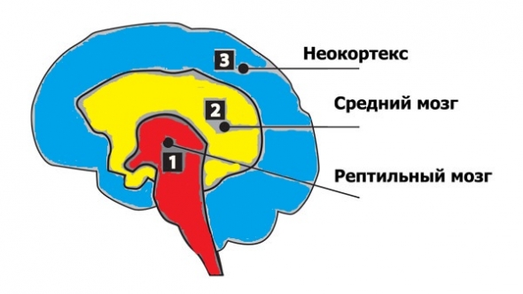 Механизмы уничтожения свободы воли.