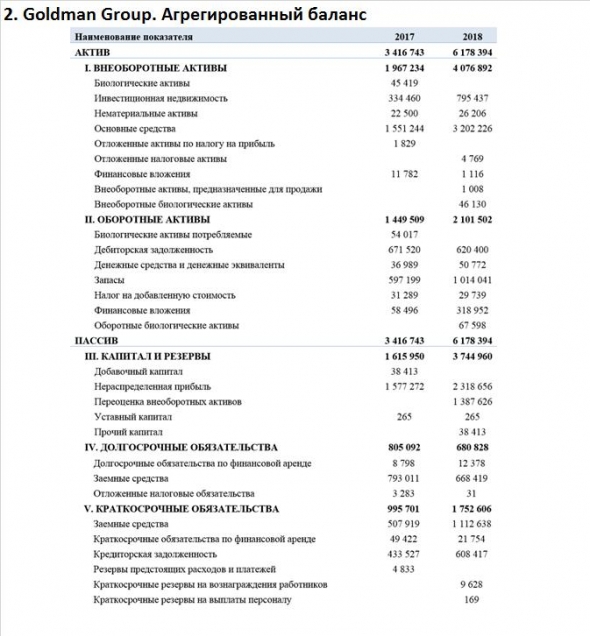 Справка по отчетности по МФСО Goldman Group за 2018 год