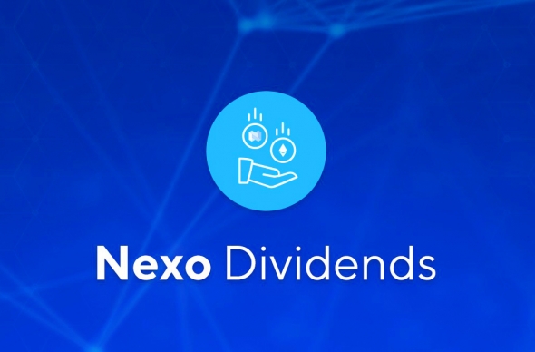 Дивиденды NEXO: суровая реальность и перспективы