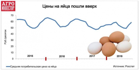 Сказка про 9 яиц. Или яичный хайп.