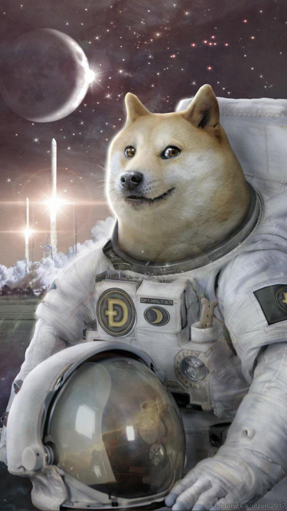 Dogecoin to the moon