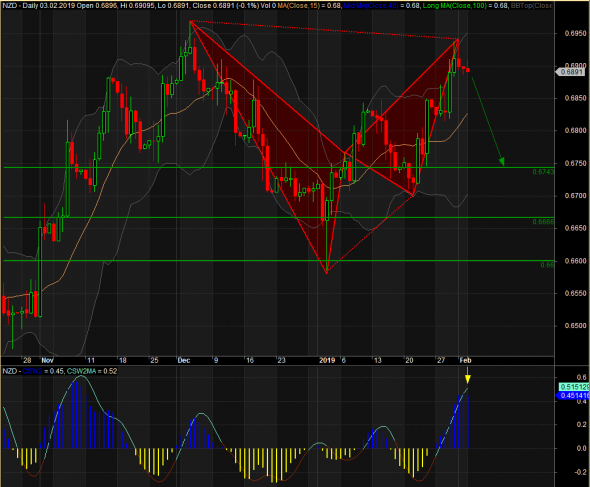 NZD 2019-02-04 D1 (1)