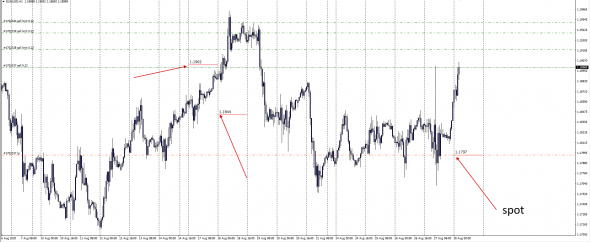 Real Spot Daily Open Price