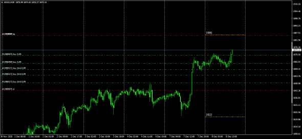 GC.XauUsd / Купленные премии Call Put / AM Style Opt