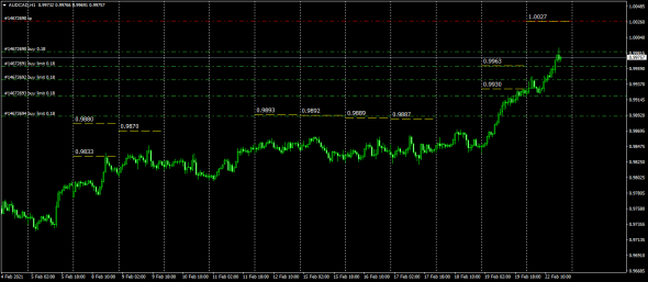 NzdCad , AudCad , CadJpy . МаркетМейкер . Synthetical Avg Price .