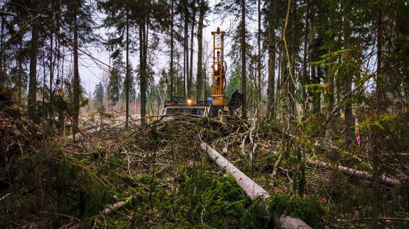 Газпром замутил большую стройку под Усть-Лугой. С места событий.