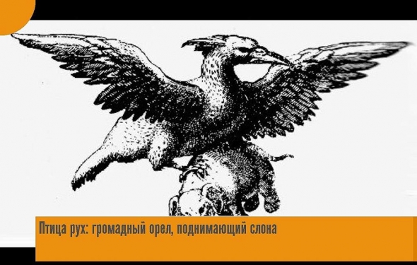 Новое предсказание Апатичного Джоуи! Вы обязаны предупредить всех.