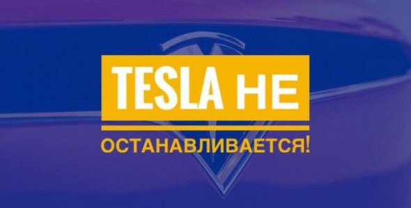 Сколько еще будут расти акции Tesla