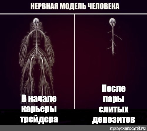 Нервная модель трейдера