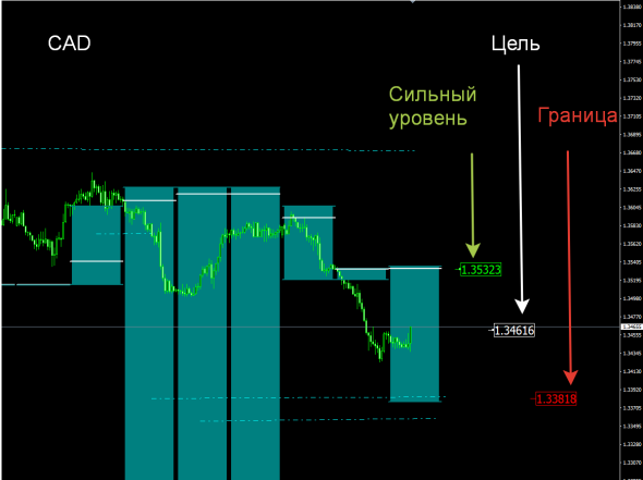 Индикатор опционных зон для Форекс