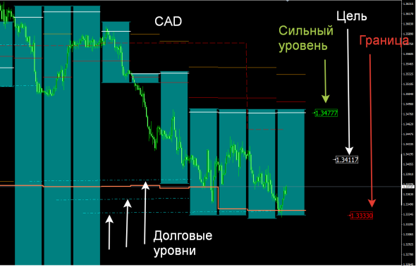 Индикатор опционных зон для Форекс