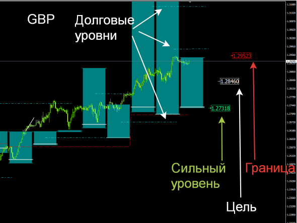 Опционный Навигатор