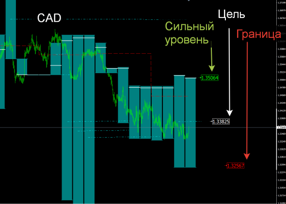 Опционный Навигатор