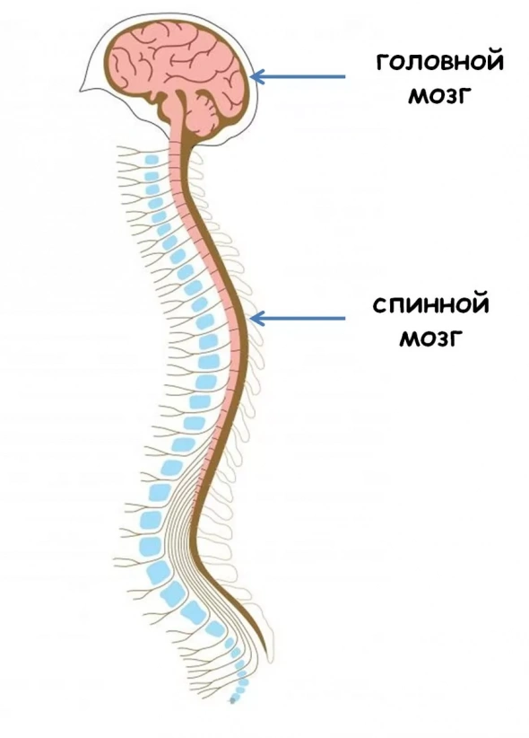 Познакомьтесь