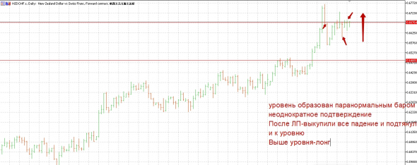 nzdchf строго на север