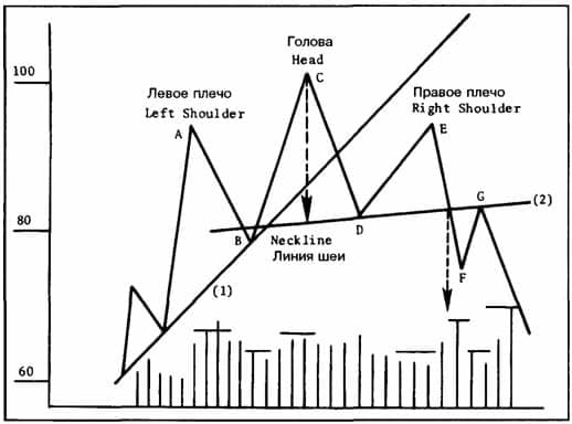 ГОЛОВА И ПЛЕЧИ